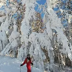 A L'ombre Du Lilas 3 - Terrasse - Possibilite Privatif Et Piscine Épinal