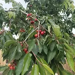 Apartment A L'ombre Du Lilas 3 - Terrasse - Possibilite Privatif Et Piscine