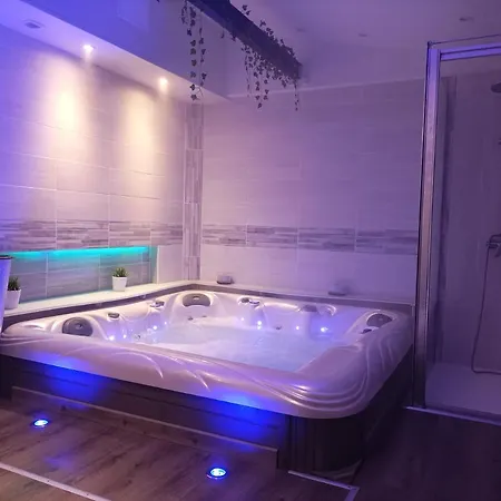 A L'Ombre Du Lilas Avec Terrasse - Possibilite Spa Privatif * Epinal