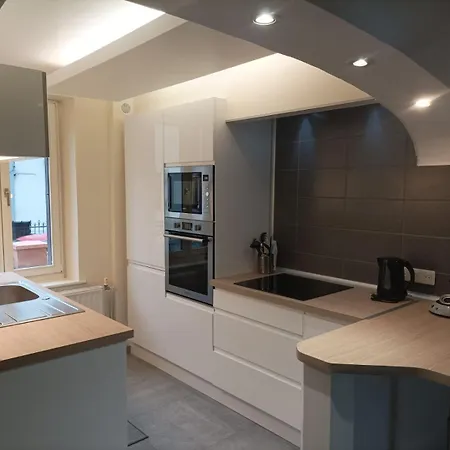 Apartment A L'Ombre Du Lilas Avec Terrasse - Possibilite Spa Privatif Epinal