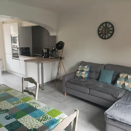 A L'Ombre Du Lilas Avec Terrasse - Possibilite Spa Privatif Apartment *