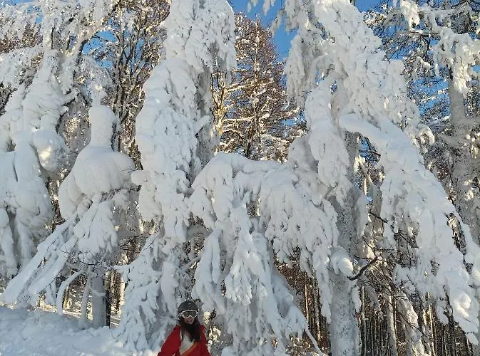 A L'ombre Du Lilas Avec Terrasse - Possibilite Privatif Épinal
