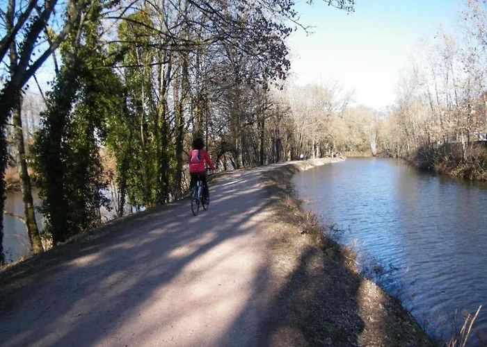 A L'ombre Du Lilas Avec Terrasse - Possibilite Privatif * Épinal