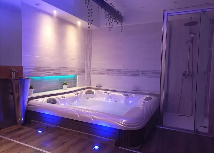 A L'ombre Du Lilas Avec Terrasse - Possibilite Privatif * Épinal